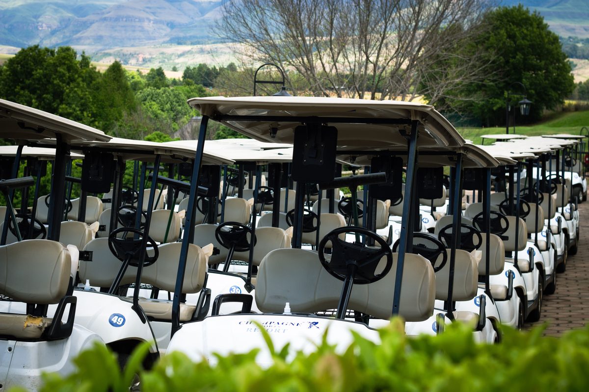A long row of white numbered golf carts parked side by side along a paved resort path, with green trees and mountains in the background