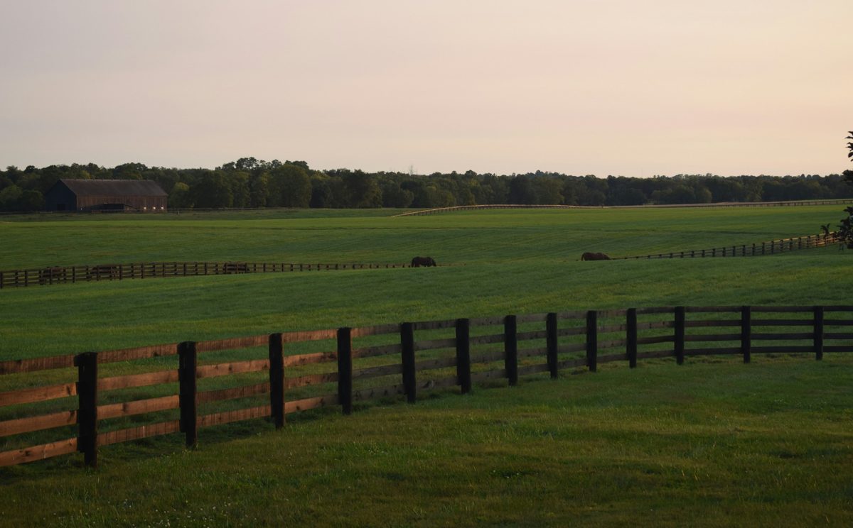 Rolling green pasture with dark plank fencing, grazing horses, and a large wooden barn against a treeline at dusk