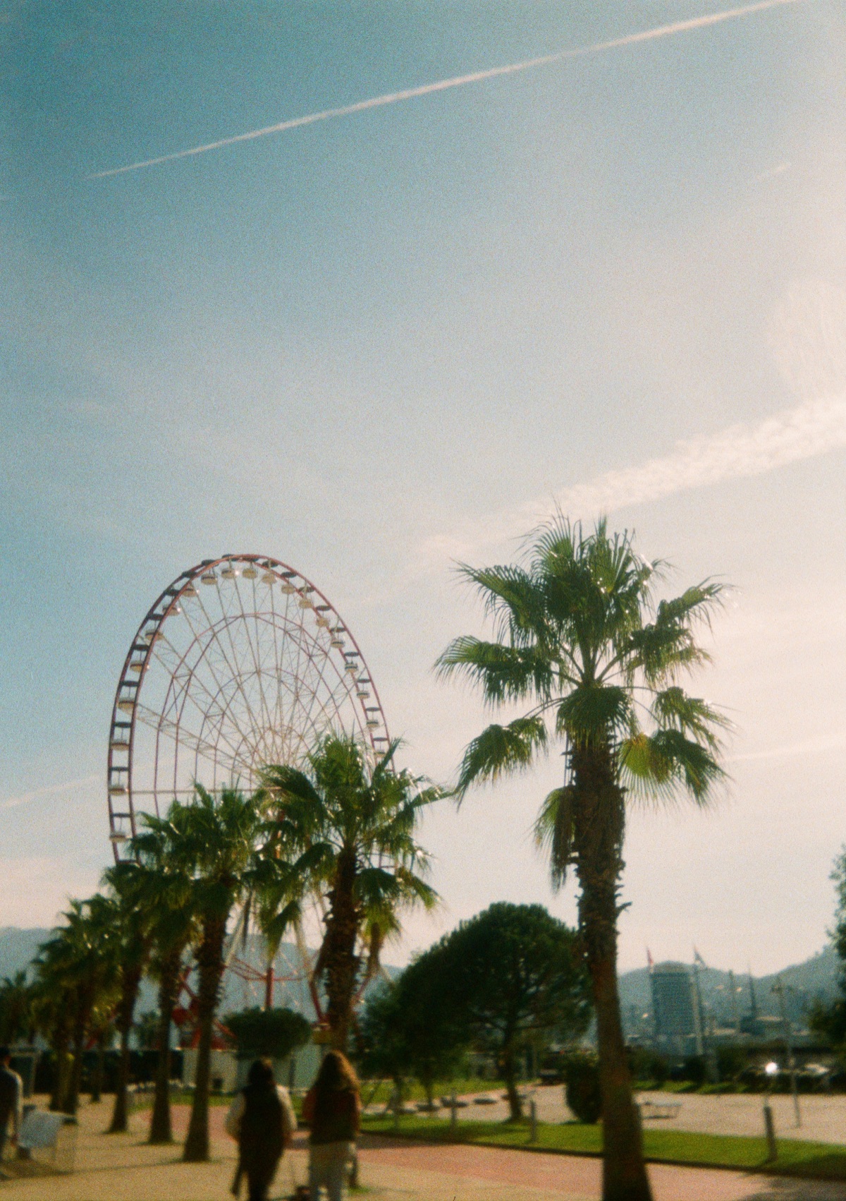 Festival grounds with ferris wheel and palm trees during Coachella season