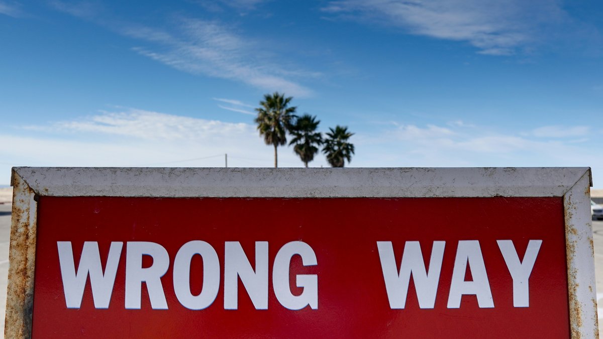 A weathered red WRONG WAY traffic sign with palm trees and a blue sky in the background, suggesting an event venue parking area