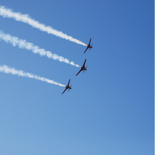 FlexTram air show aviation event spectator transport shuttle