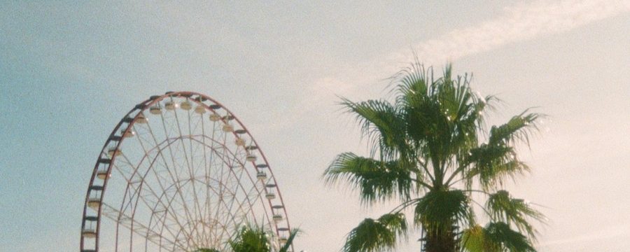 Festival grounds with ferris wheel and palm trees during Coachella season